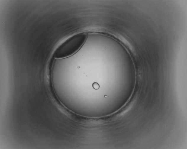 X0000112360981200908131231