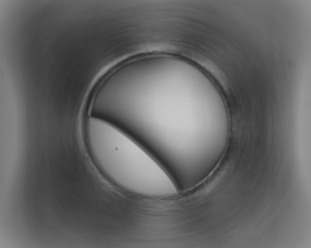 X0000112360983200908131231