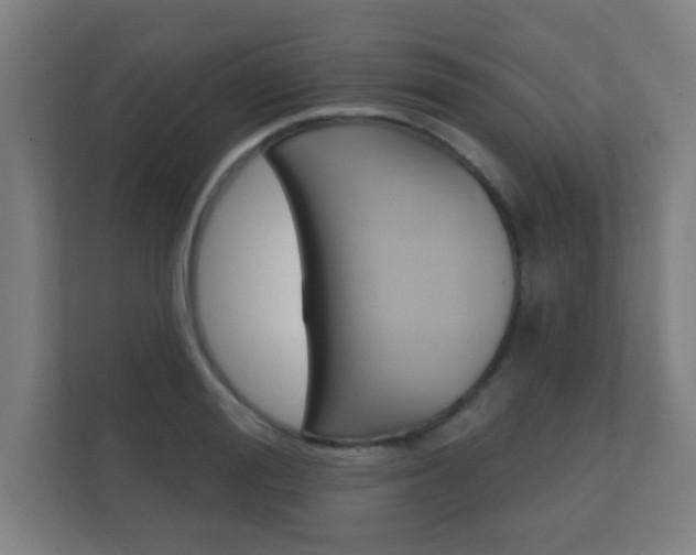 X0000112360988200908131231