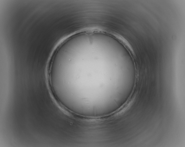 X0000112360989200908131231
