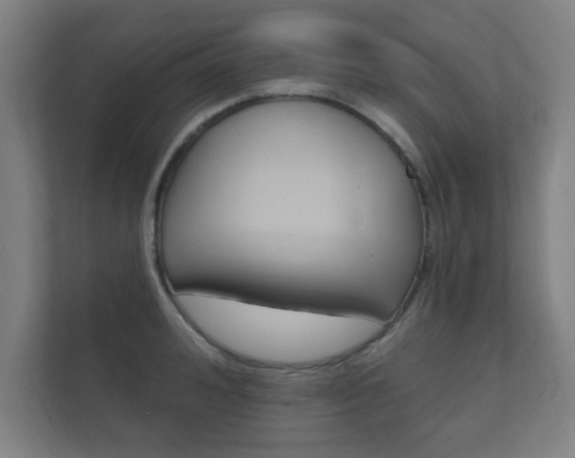X0000112360992200908131231
