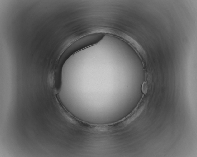 X0000112360993200908131231