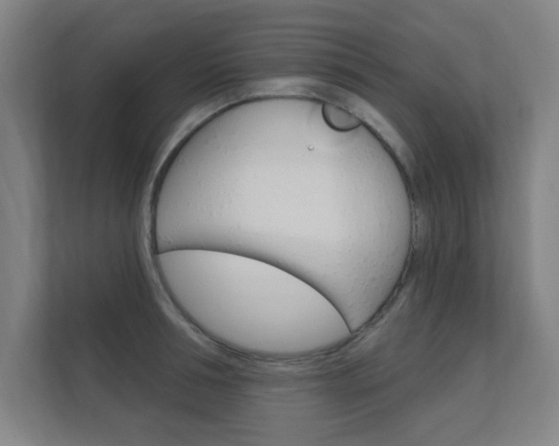 X0000112360994200908131231