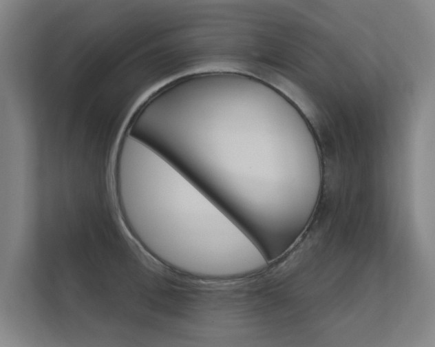 X0000112360996200908131231