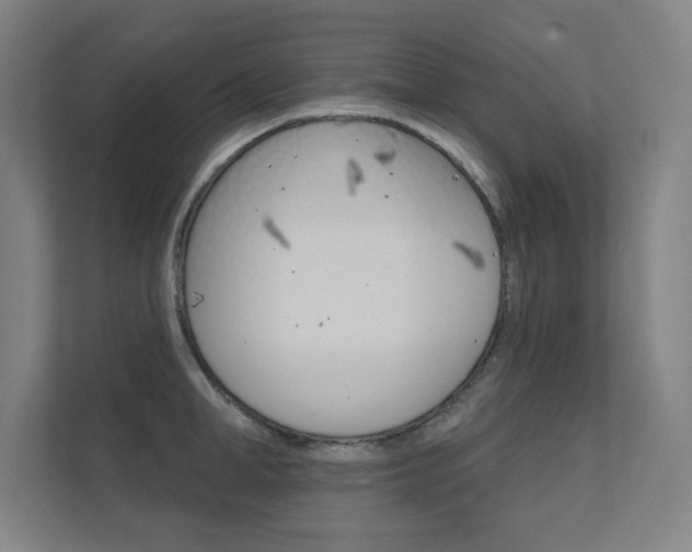 X0000112360998200908131231