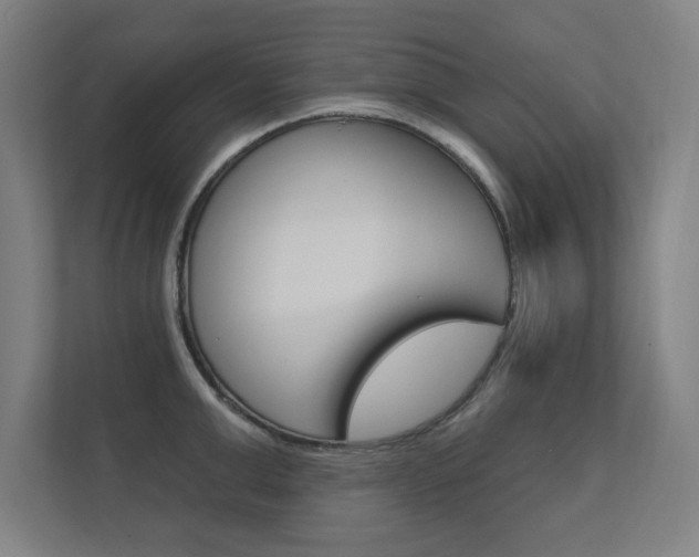 X0000112360999200908131231