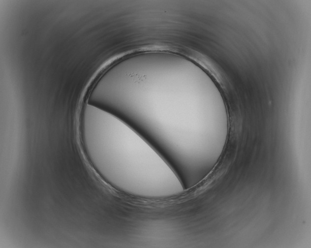 X0000112361000200908131231