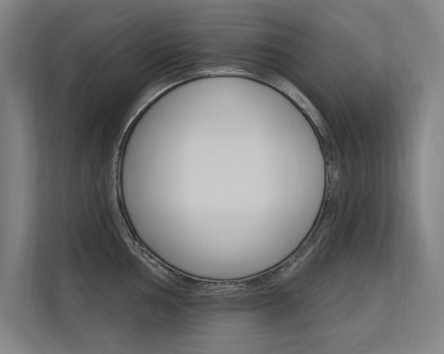 X0000112361002200908131231