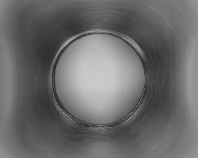 X0000112361004200908131230