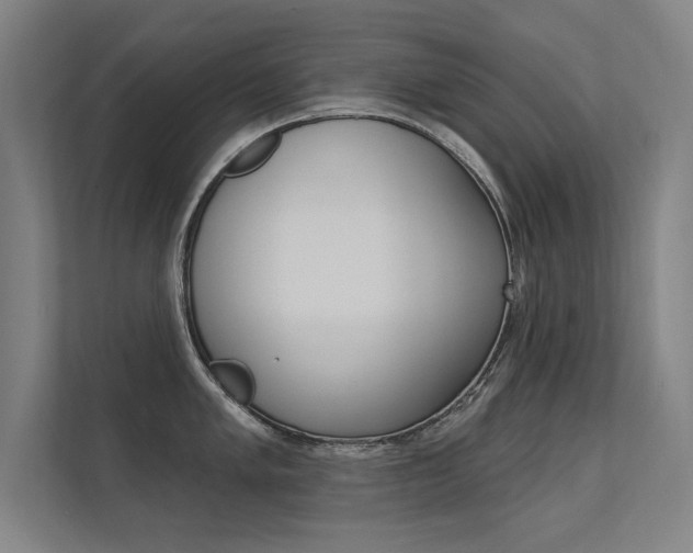 X0000112361005200908131230