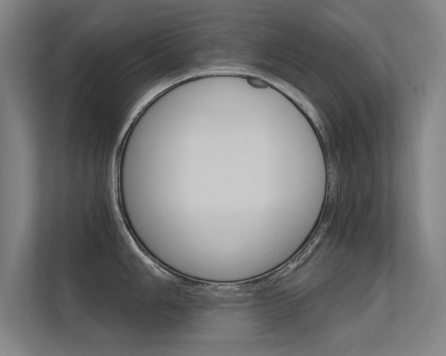 X0000112361006200908131230