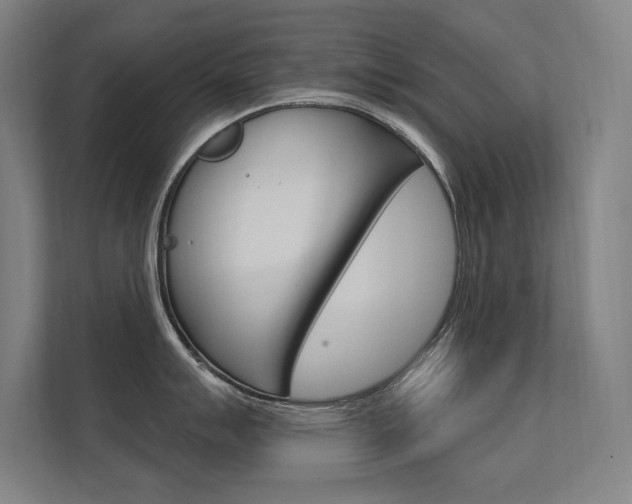 X0000112361007200908131230