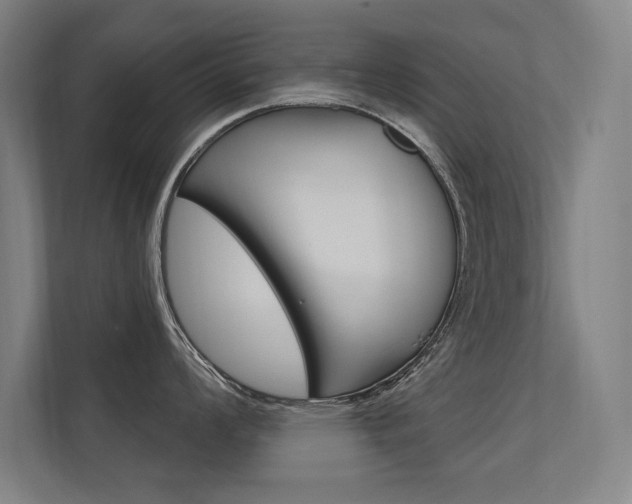 X0000112361008200908131230