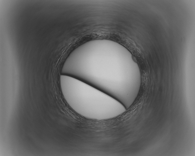 X0000112361009200908131230