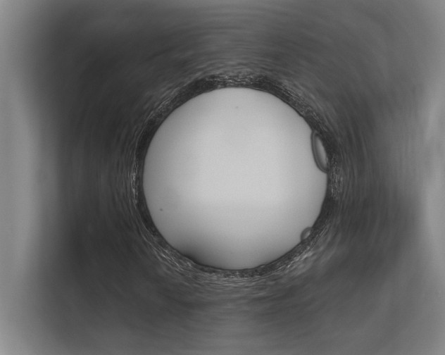 X0000112361010200908131230