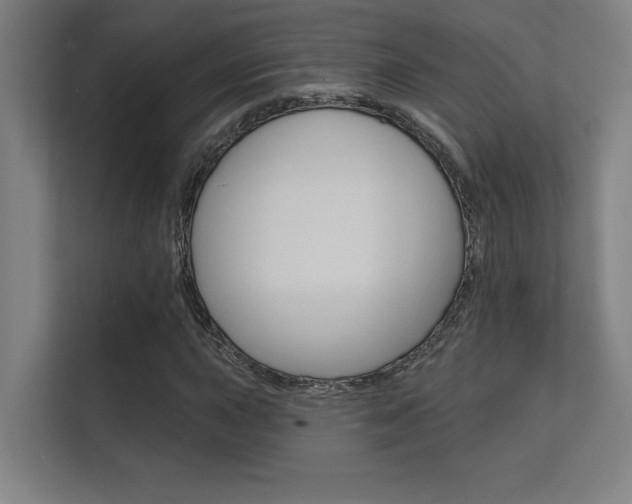 X0000112361015200908131230