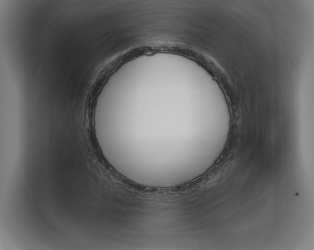 X0000112361016200908131230