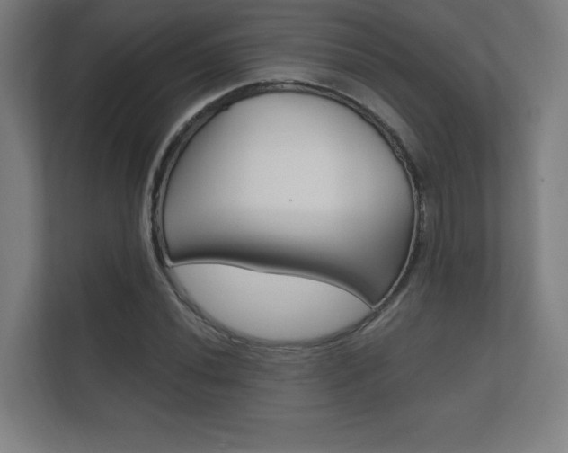 X0000112361020200908131230