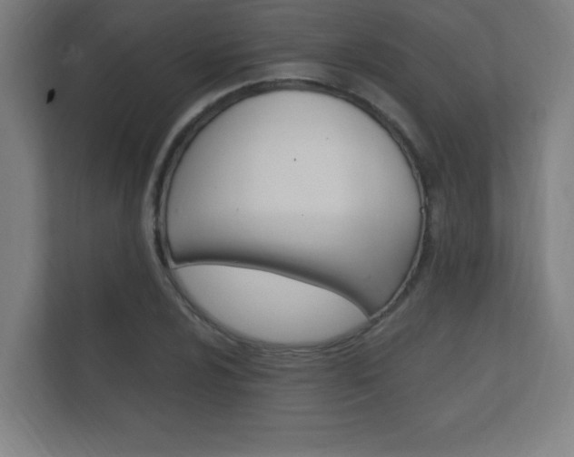 X0000112361024200908131230