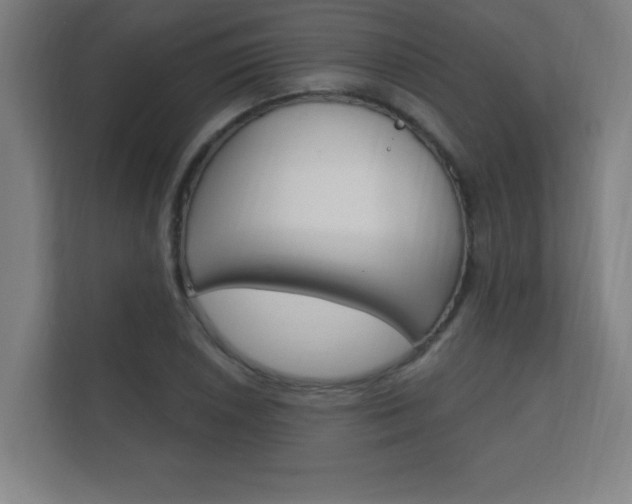 X0000112361026200908131230