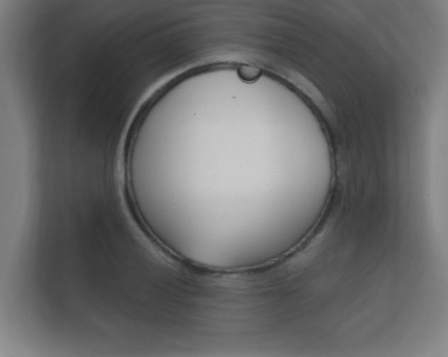 X0000112361028200908131230
