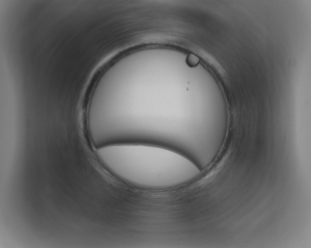 X0000112361029200908131230