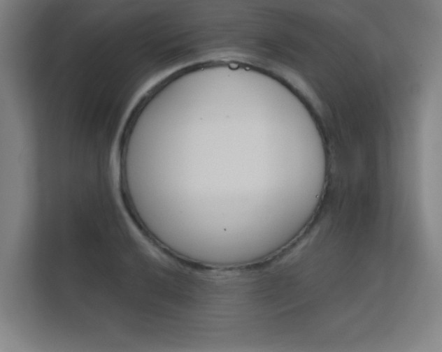 X0000112361032200908131230