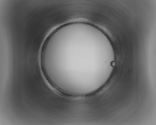 X0000112361038200908131230