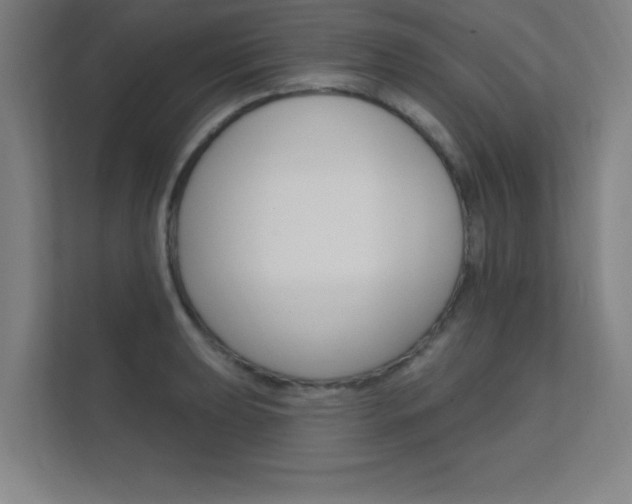 X0000112361039200908131230