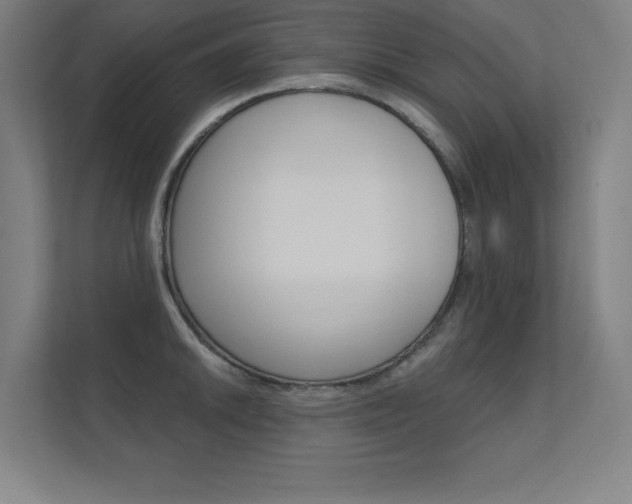 X0000112361046200908131230