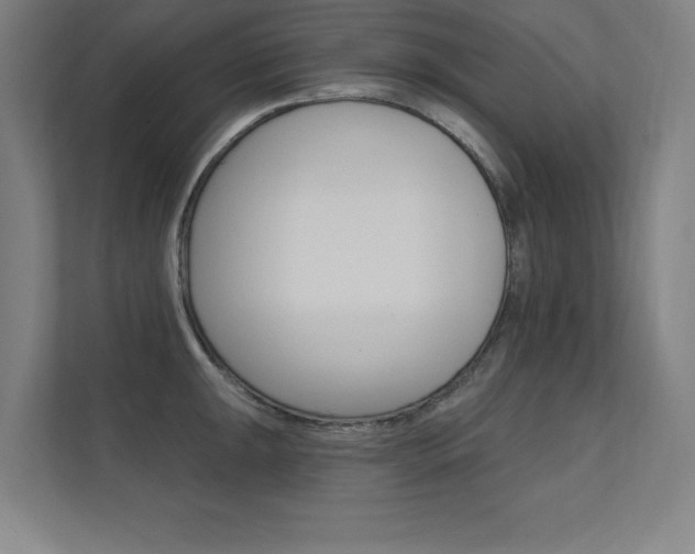 X0000112361047200908131230