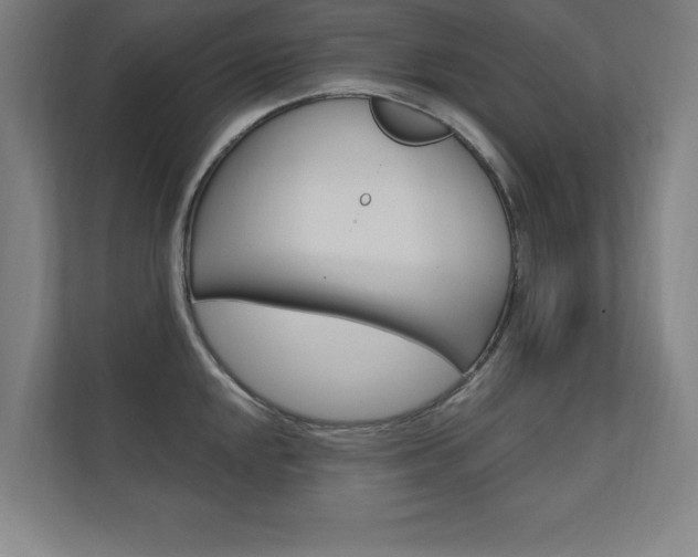 X0000112361048200908131230