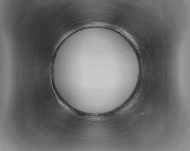 X0000112361049200908131230