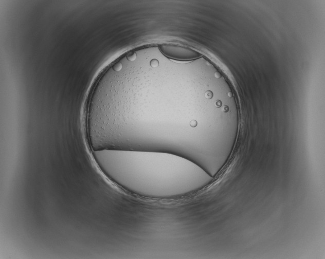 X0000112361053200908131230