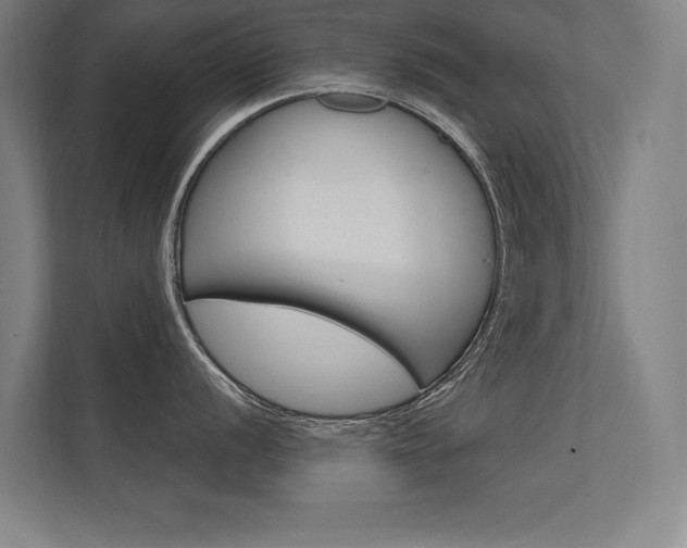 X0000112361056200908131230