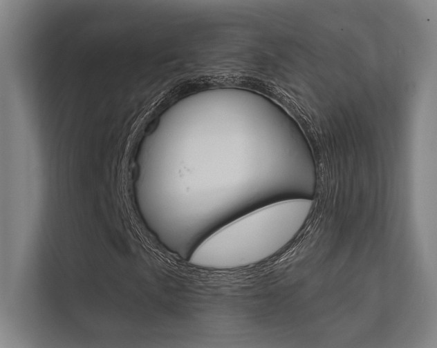 X0000112361057200908131230