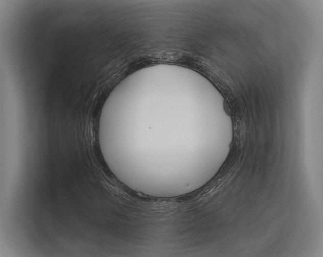 X0000112361058200908131230