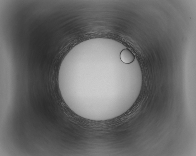 X0000112361060200908131230