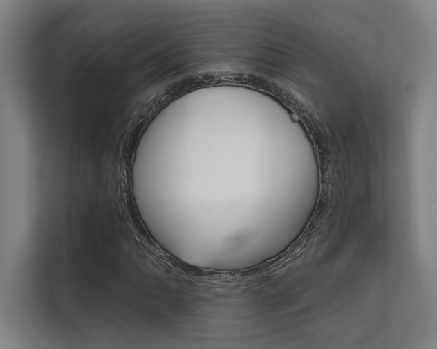 X0000112361062200908131230