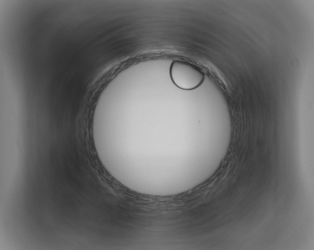 X0000112361064200908131230