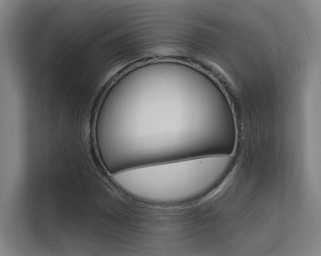 X0000112361065200908131230