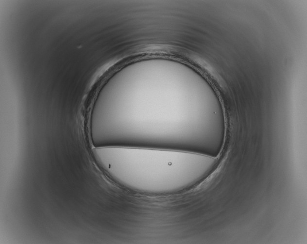 X0000112361066200908131230