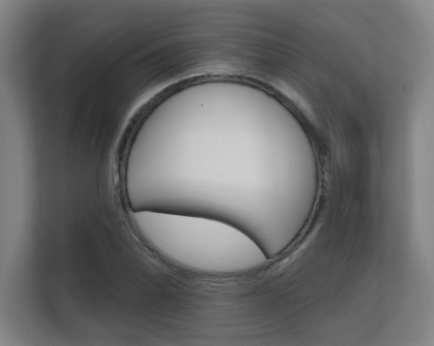X0000112361070200908131230