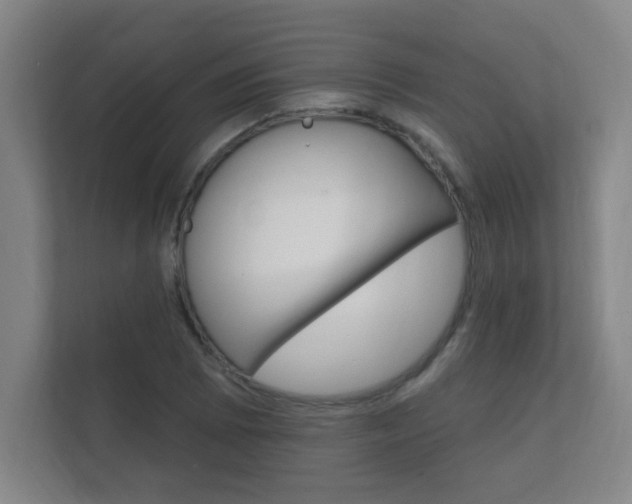 X0000112361073200908131230