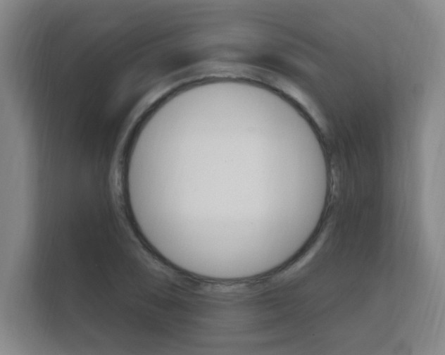 X0000112361074200908131230