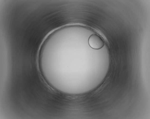 X0000112361076200908131230