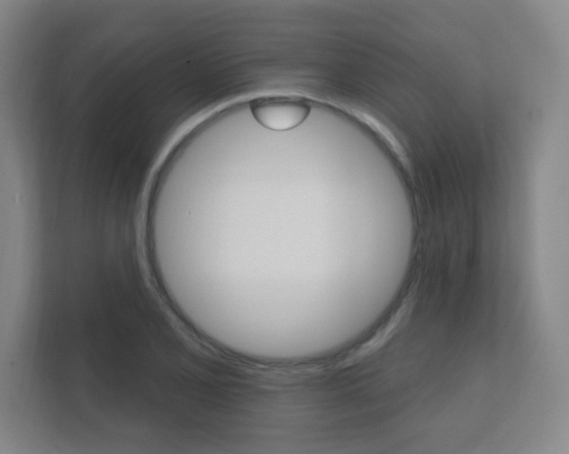 X0000112361077200908131230