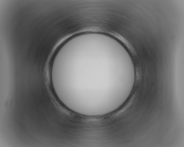 X0000112361078200908131230