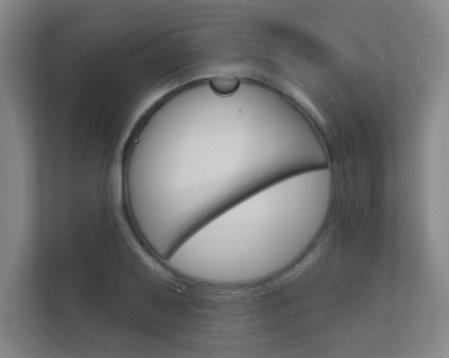 X0000112361079200908131230