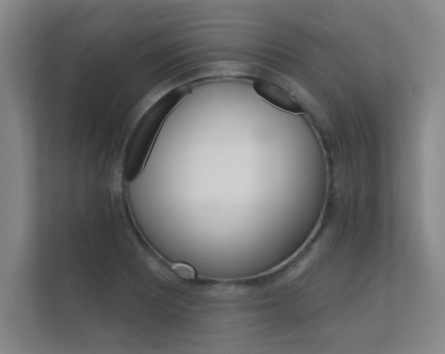 X0000112361081200908131229
